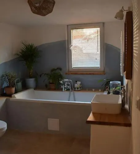 Ogrodek 公寓 索波特